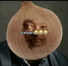 sonion emote