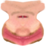 VVAnchor emote