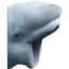 Whalepog