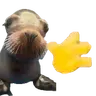 sealHi emote