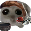 ohKCD