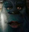 sully