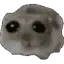 ohSpin