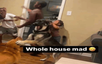 HOUSEMAD