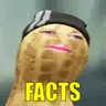 FactsPeanut emote