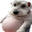 chud
