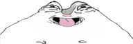 dentky