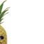 ligOneEye