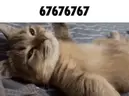 sixseven emote