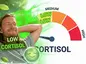 lowcortisol