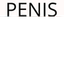 penis00