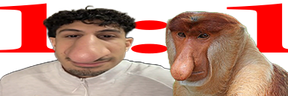 1to1 emote
