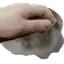 PETToh