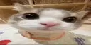 ))