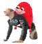 sjjBackseating
