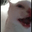 AAAAA