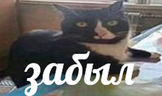 ЗАБЫЛ emote
