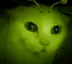 glorpHiss