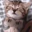sleepCat
