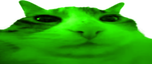 glorpWIDE
