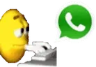 WhatsAppChatting emote