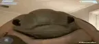RAWR