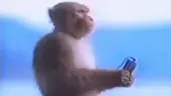 MyExistenceIsNothingButAGrainOfSandComparedToTheEntireScaleOfTheUniverse emote