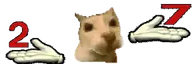 27