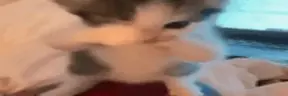 scuba emote