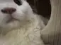 GregConcerned