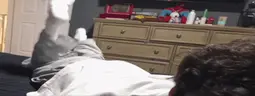 Zesty emote