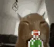 KELPAMINE emote