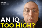 IQ emote
