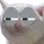 SusCat