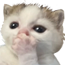 gasp emote