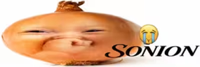 SONION emote