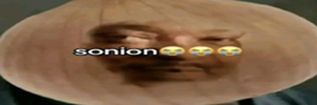 sonion emote