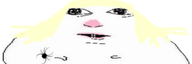 divo