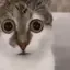 whaaat