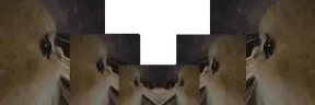 001 emote