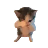 scuba emote