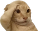 ohCrap