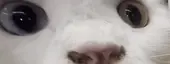 ermmm