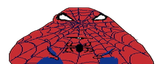SpiderTwin