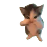 scooba emote