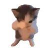 SCUBA emote