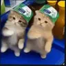 taka emote