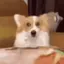 ejem