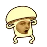 lilpogshroomy emote
