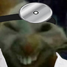 xdmd emote